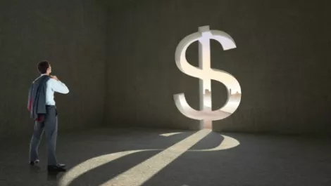 Money dollar