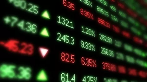 Nzx share