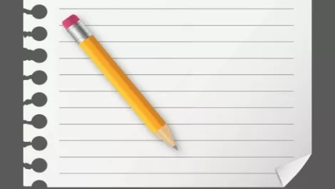 Pen