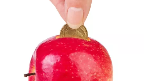 Apples